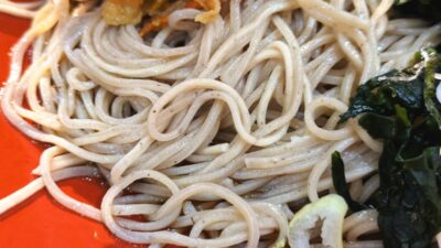 冷し野菜かき揚げそばの麺｜そばの神田東一屋 本店
