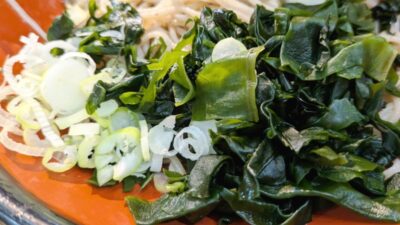 冷し野菜かき揚げそばのワカメ｜そばの神田東一屋 本店