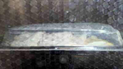 電子レンジで調理中｜成城石井