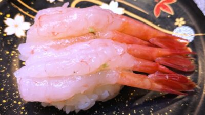 道産甘エビ|くるくる寿し(札幌)